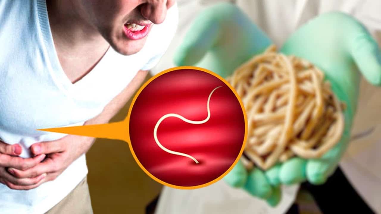 Бактери Форм активно выводит паразитов и токсины из организма